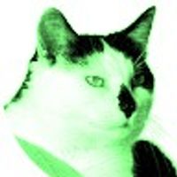 PrintCat13